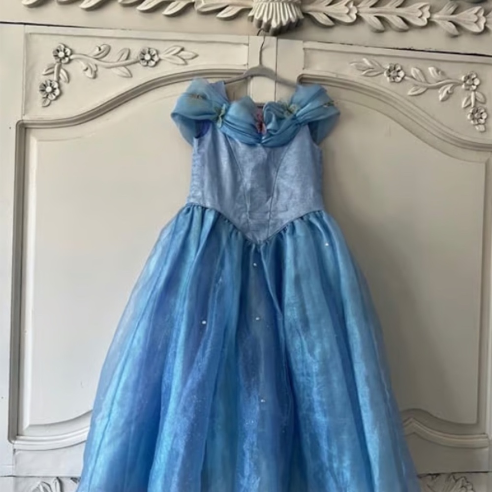 Disney Chasing Fireflies Cinderella Dress Costume